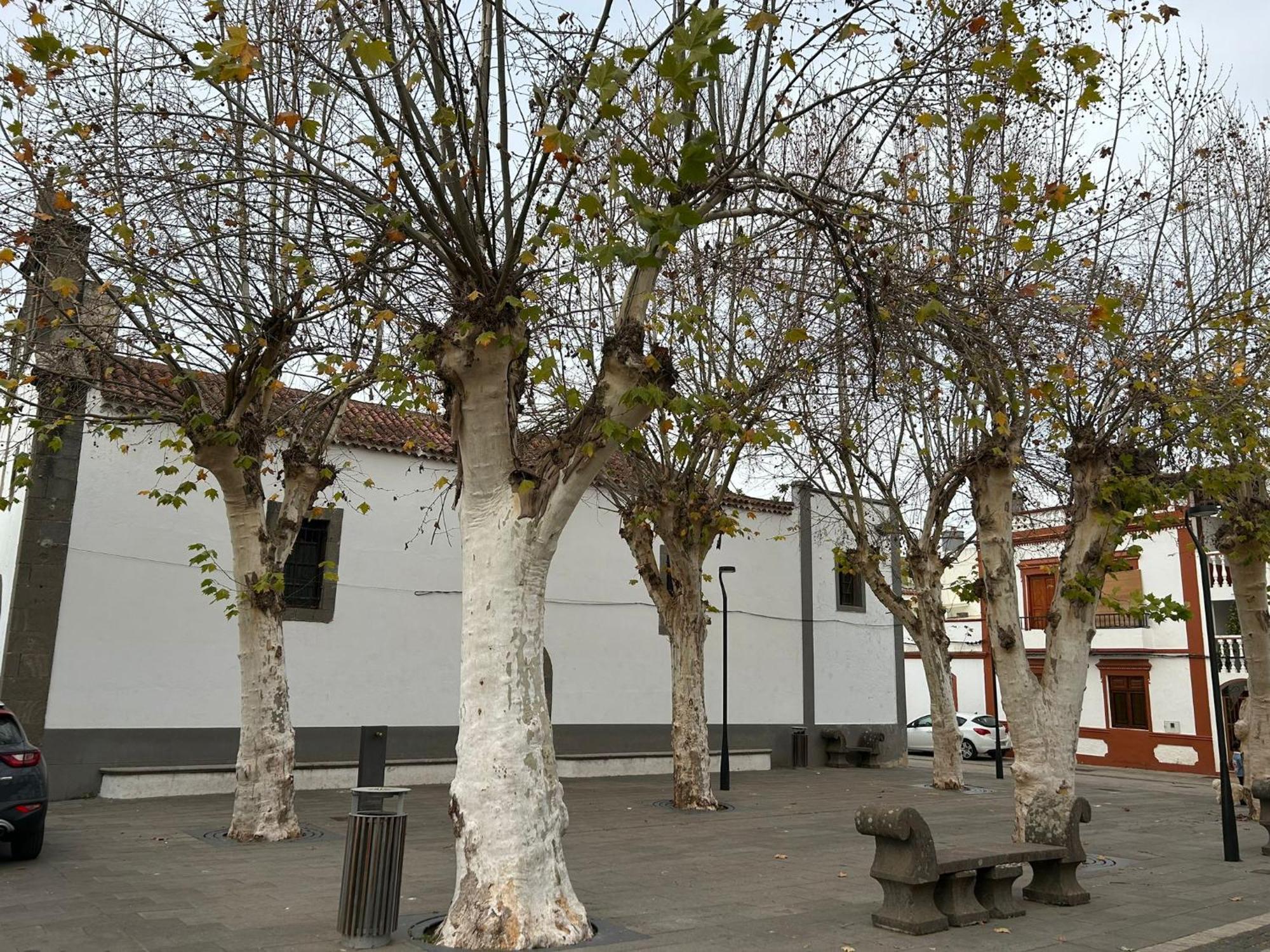 Vivienda Alpa Fontanales Apartment Agua de Fontanales Luaran gambar